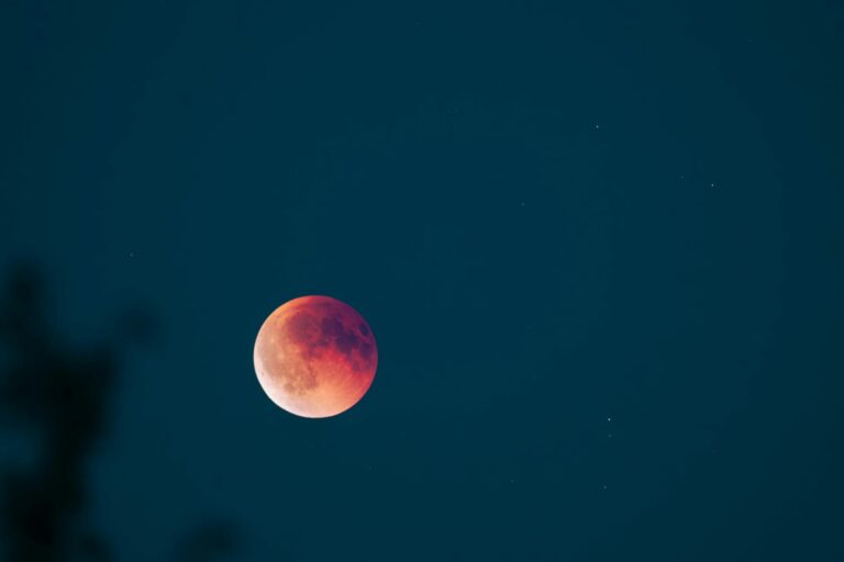 Capture of the blood moon surrounded by stars in a clear night sky.